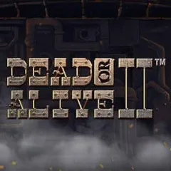 Dead or Alive 2 slot at Pitbet Casino